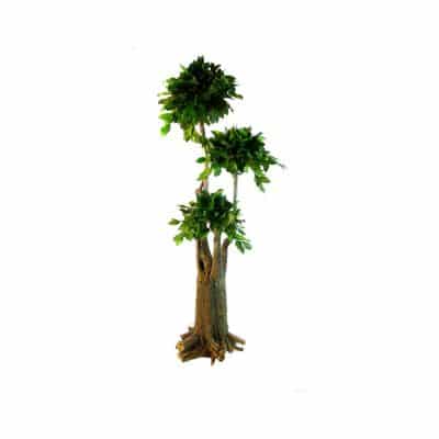 arbre-bonsai-salal-stabilise-ht-190-cm