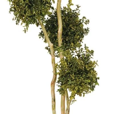 catalogo_Page_06_Image_0003 (1)