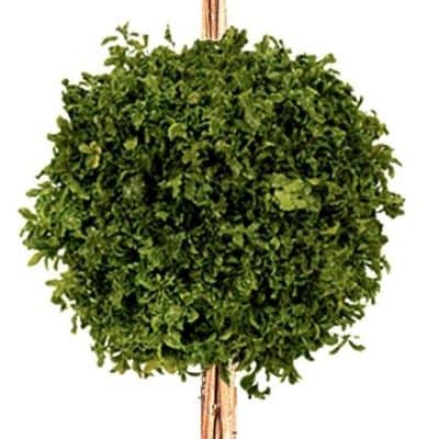 catalogo_Page_09_Image_0003