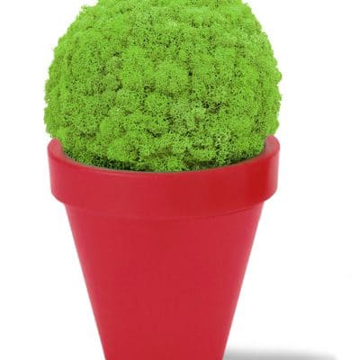vaso rosso+verde