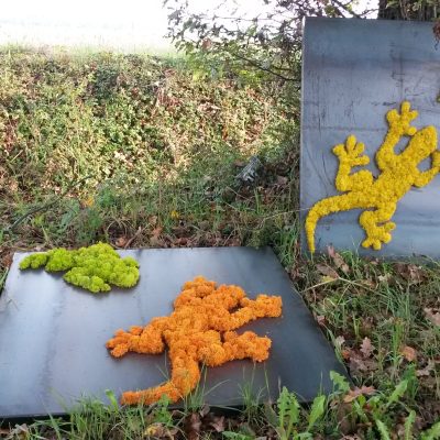 2014102kkkkk1_093717