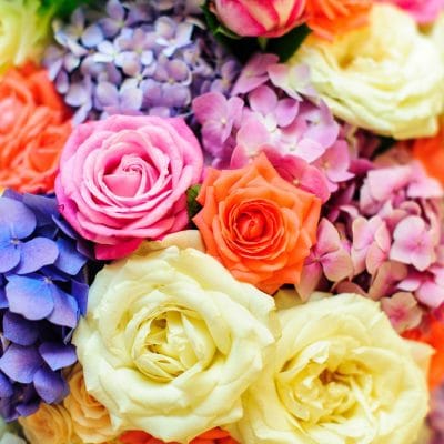 floral arrangement of colorful hydrangeas and roses for event or wedding celebration