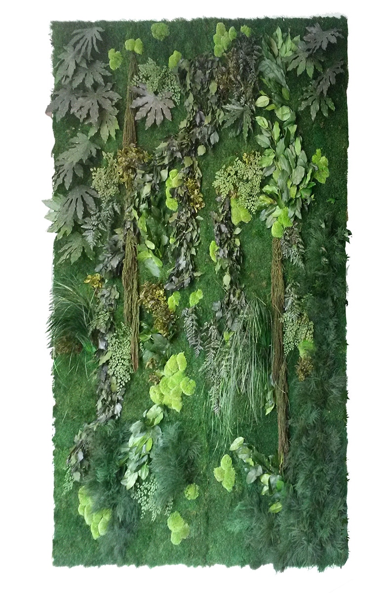 parete-forest