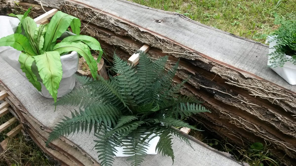 20170524_103851
