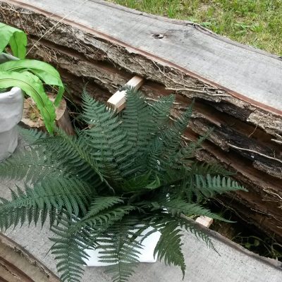 20170524_103851