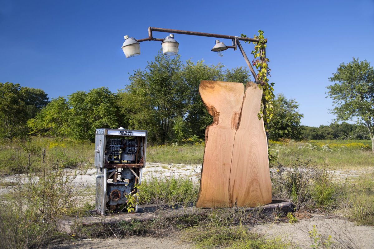 tavola natura castagno