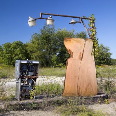 tavola natura castagno