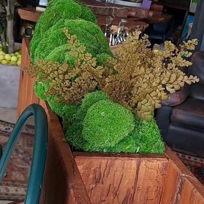 drape libreria separe bookshelf (1)