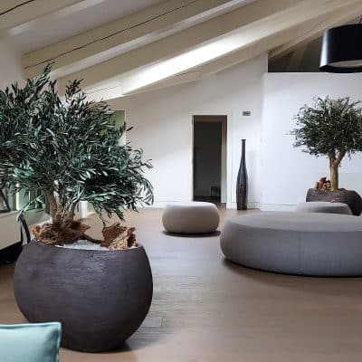 ulivo-stabilizzato-linfadecor (7)