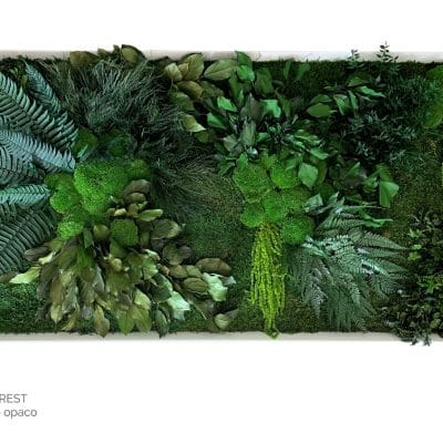 Quadro Forest. Cornice bianca opaco.w