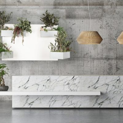 Marble Reception Office Table with plants on concrete background
