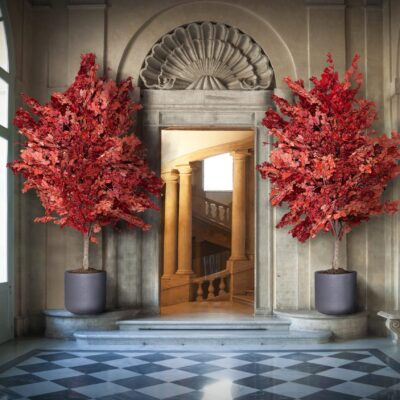 Alberi stabilizzati: due querce rosse all'entrata del Quirinale