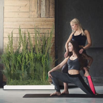Young woman with yoga instructor in fitness club, mermaid pose