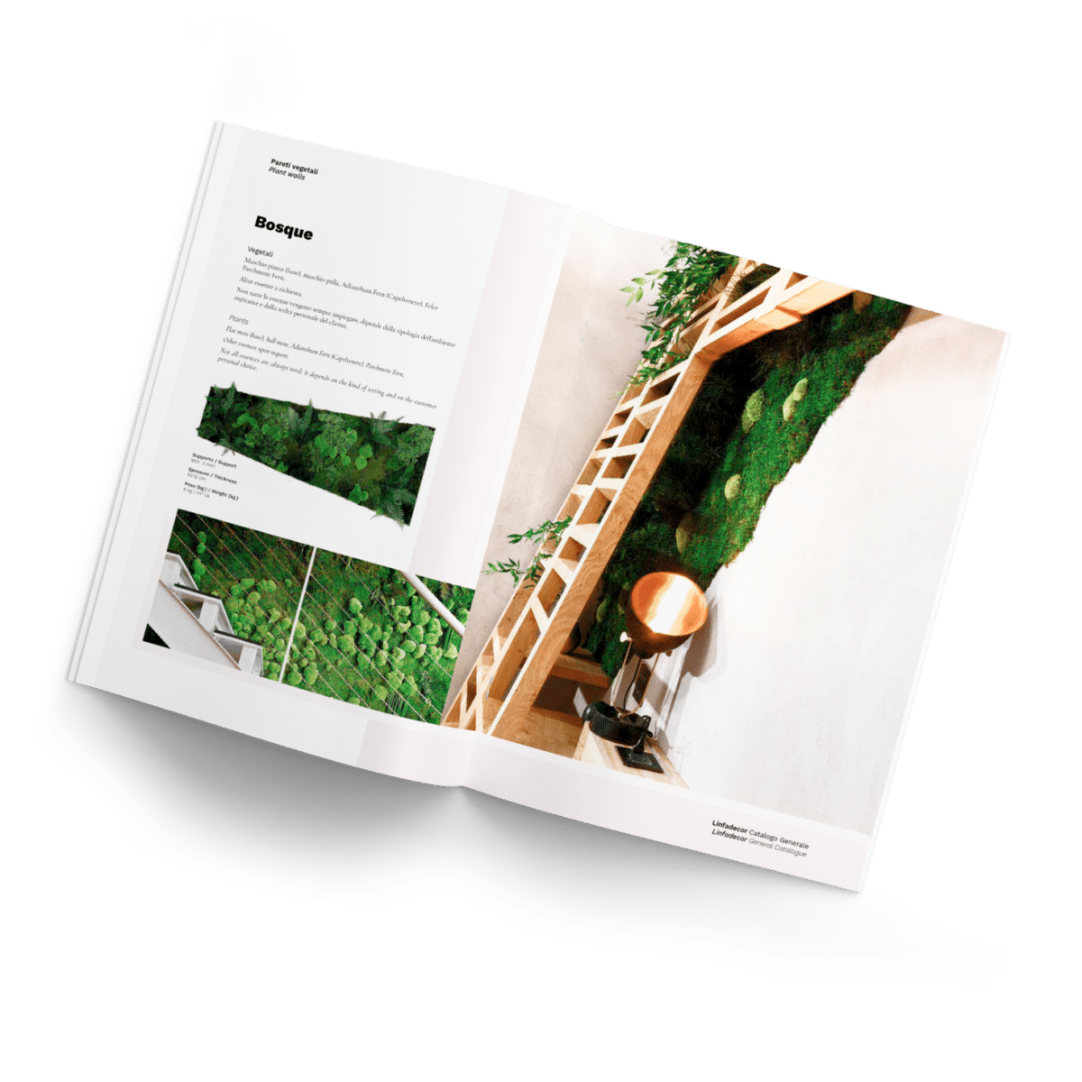 Catalogo fiori e piante stabilizzate Linfadecor