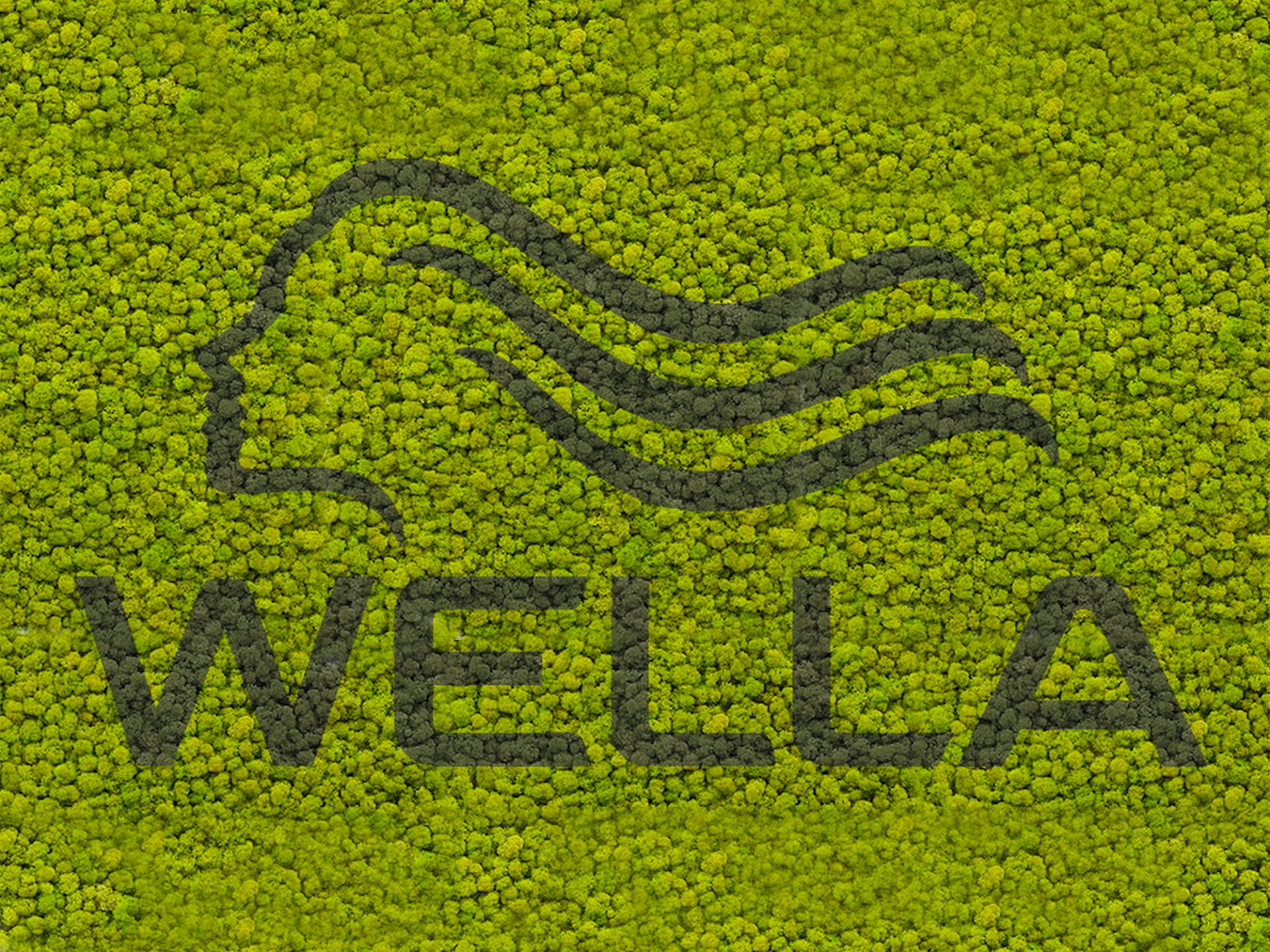 Logo vegetale Wella