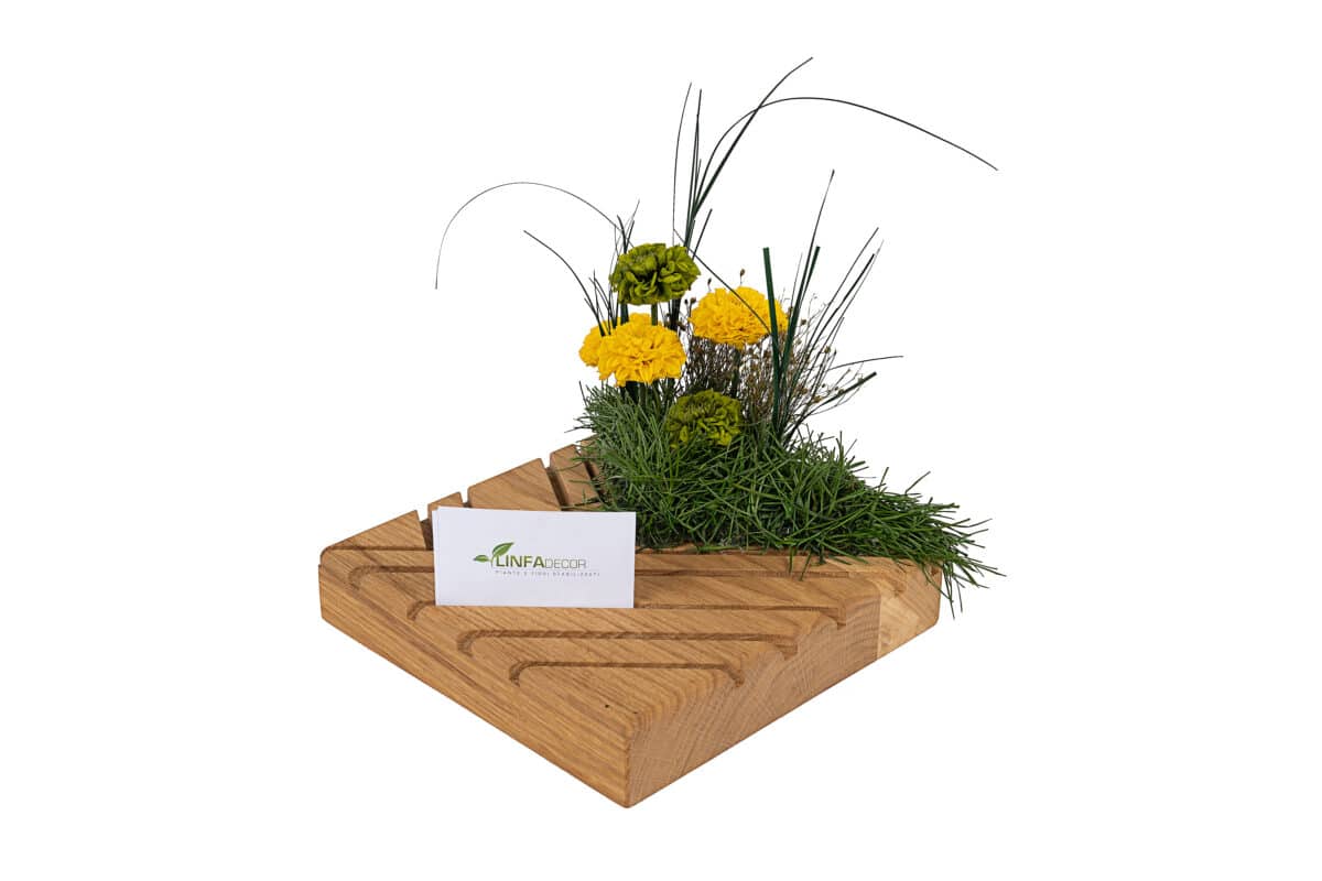 Business-cards holder with preserved greenery