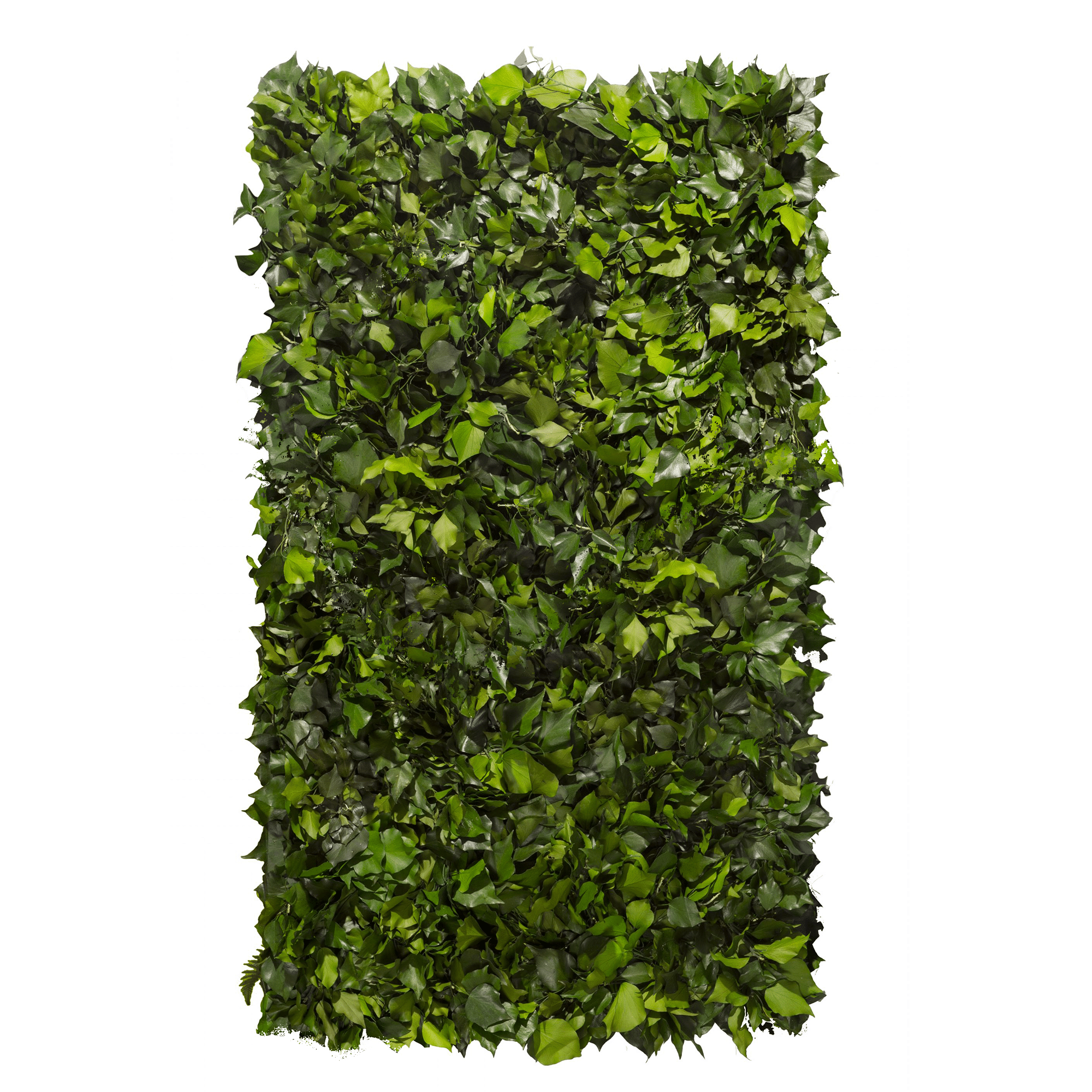 GIRUVI 「Grow on the Wall」Gracilius Vertical garden Moss Mesh 50x100cm in Green Designers store