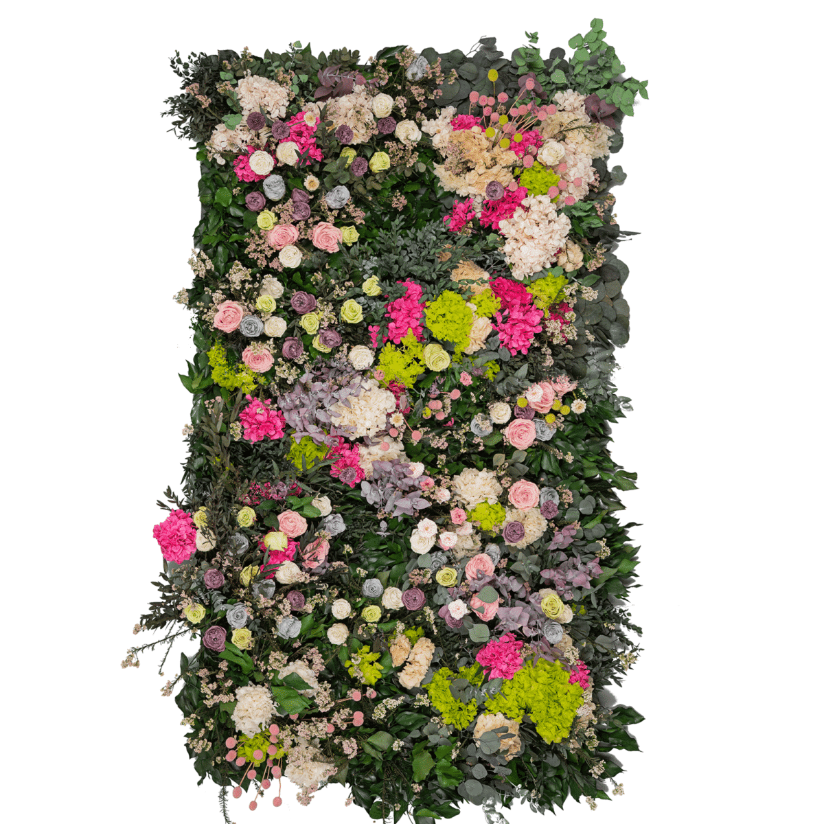 Parete floreale con fiori e vegetali stabilizzati Flora