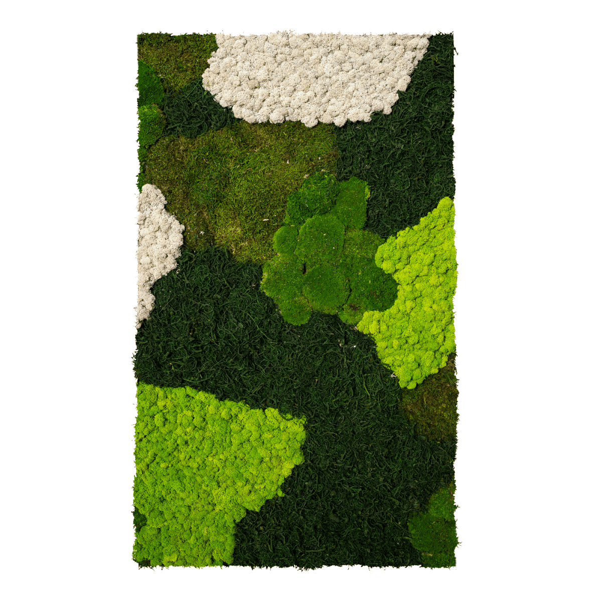 Parete vegetale stabilizzata Mimetic