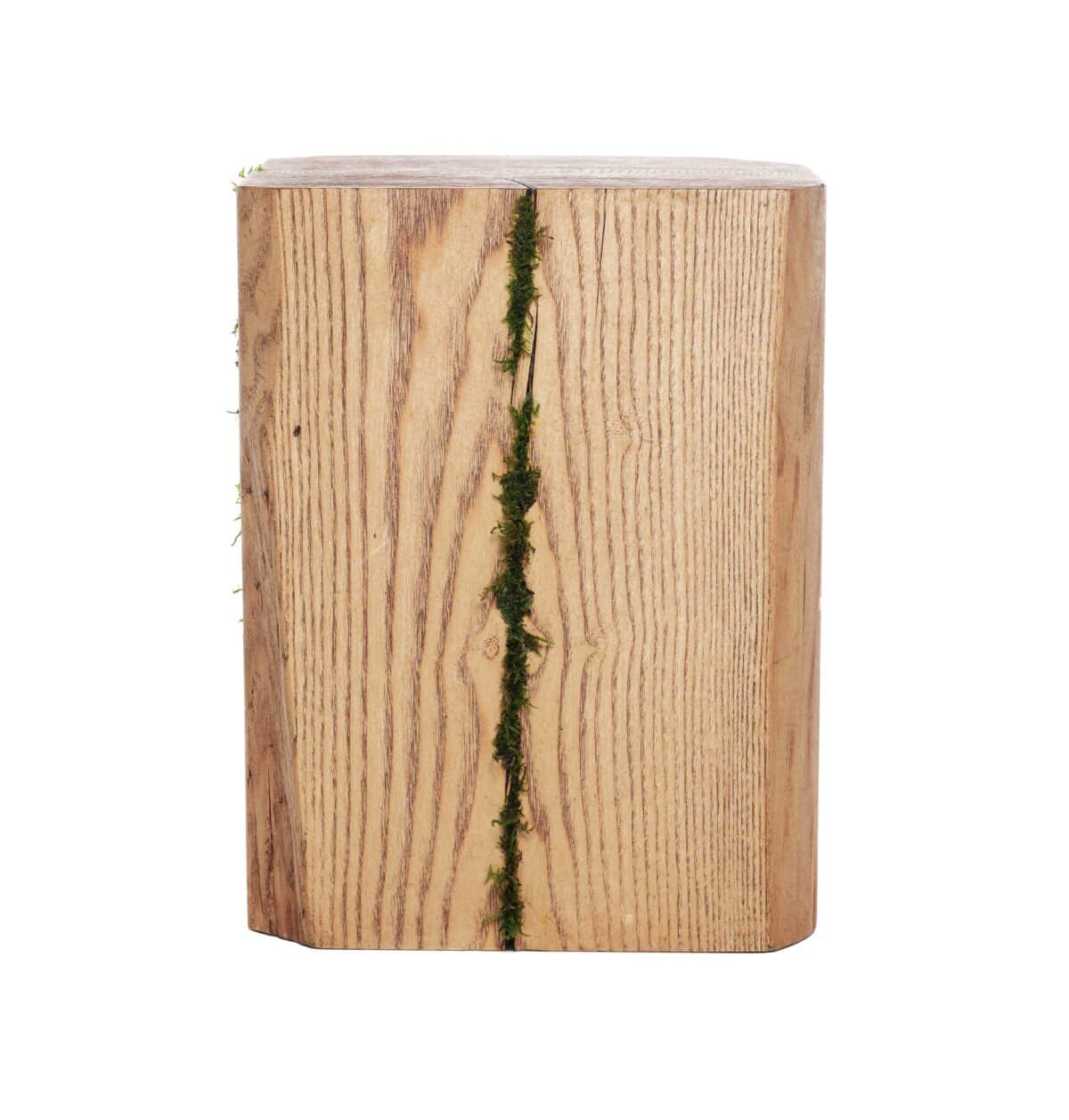 Tronchi in legno di Frassino con Muschio stabilizzato