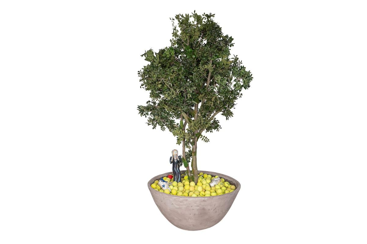 Albero stabilizzato di Pistacchio
