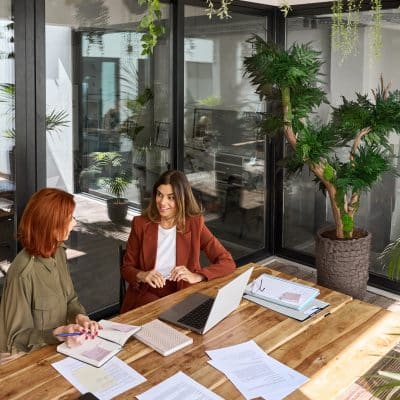 Two busy business women talking working at desk in green office. Top view.