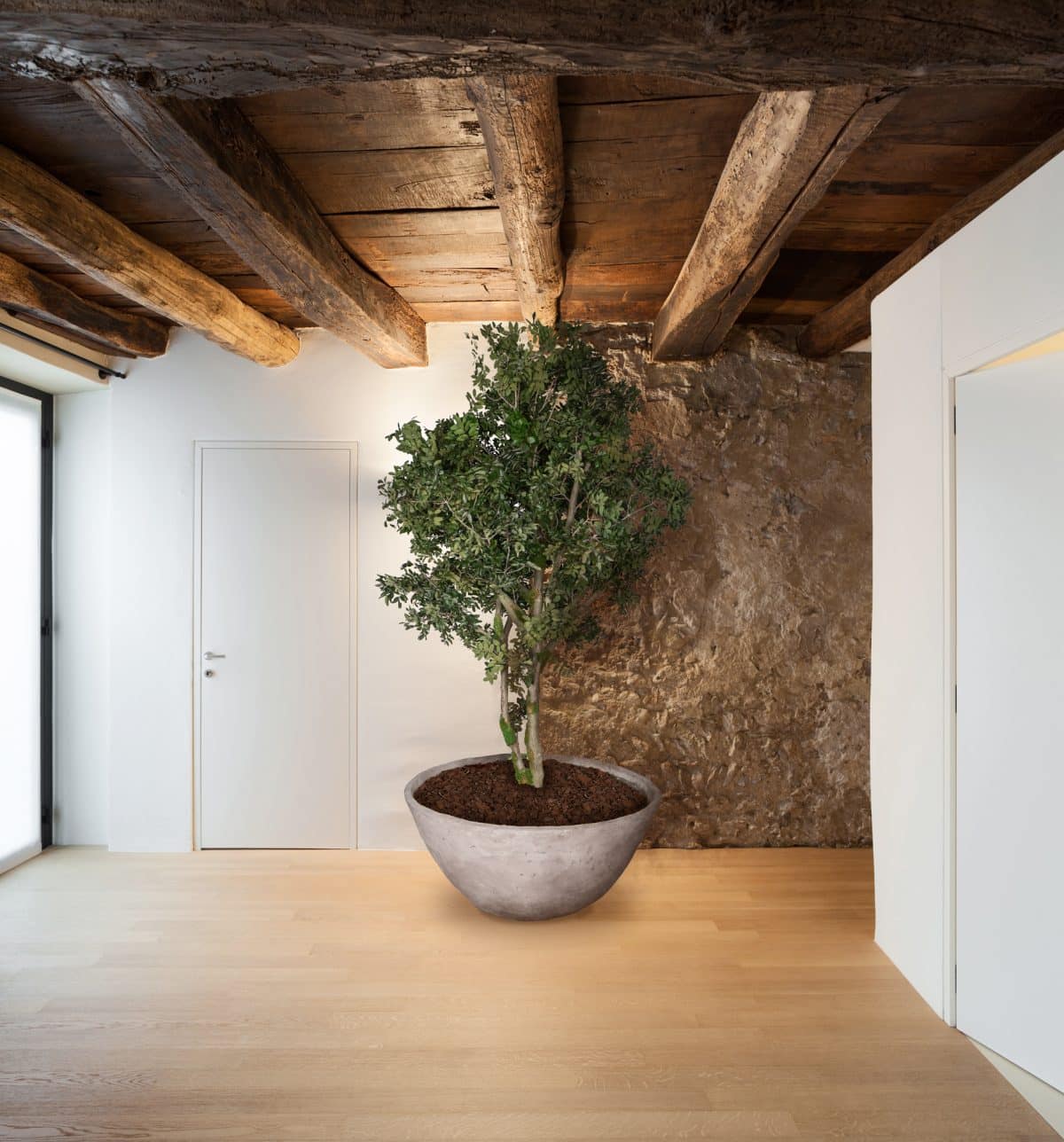 Architecture, hall of a rustic loft