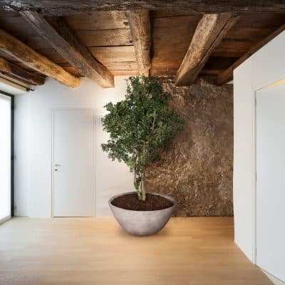Architecture, hall of a rustic loft