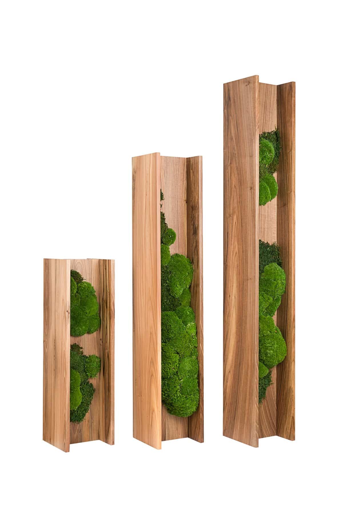 Putrelle in Legno con Muschio stabilizzato