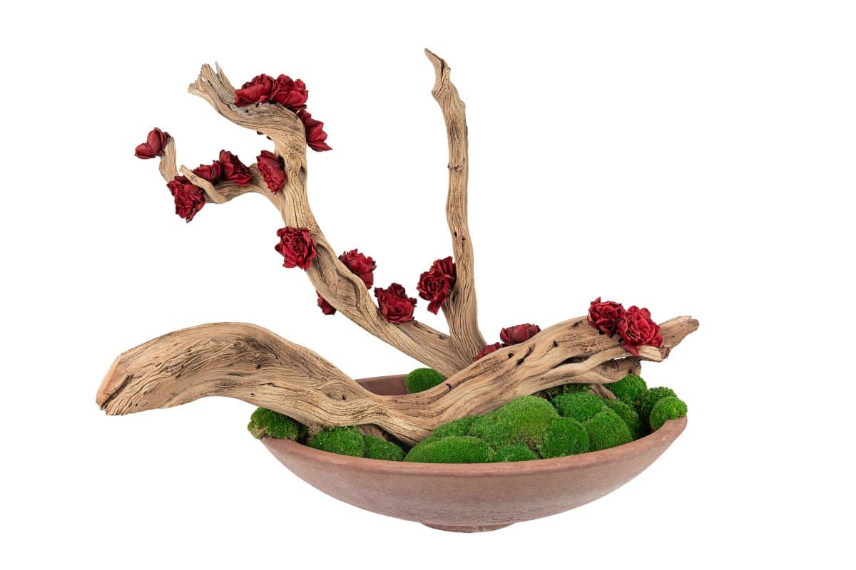 Loira - composizione centrotavola in vaso in terracotta