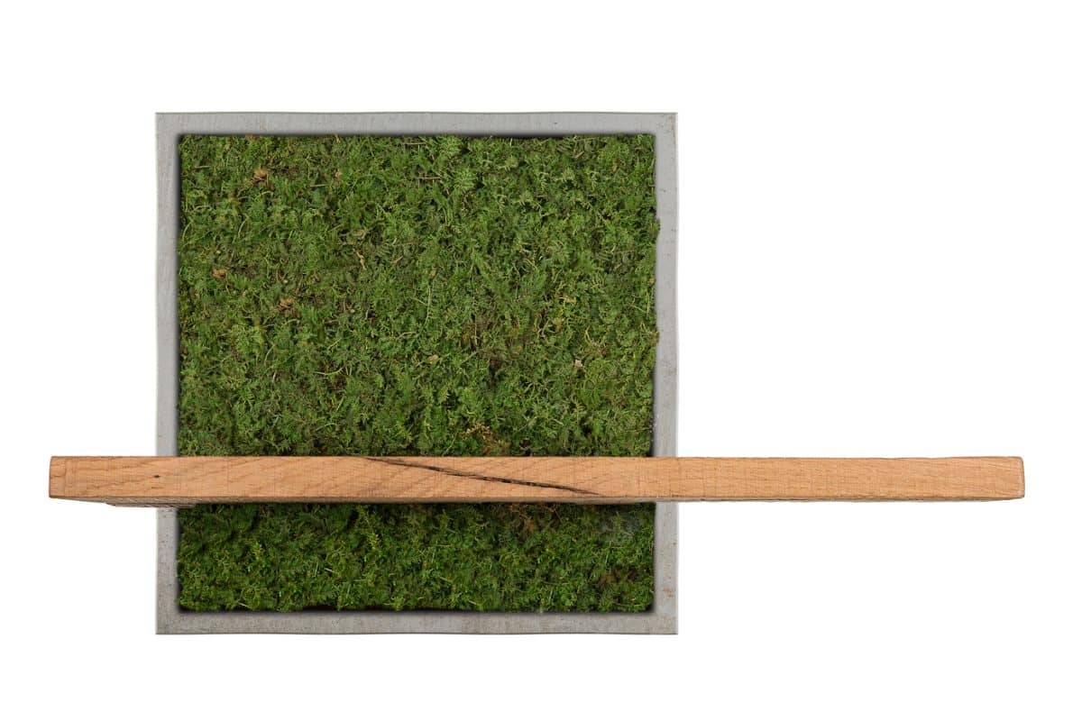 Quadrato Fronte copia