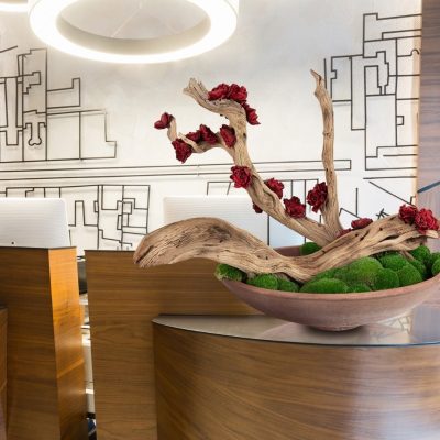 WhatsApp Image 2026-01-15 at 17.08.11 (1)