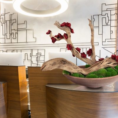 WhatsApp Image 2026-01-15 at 17.08.11 (1)