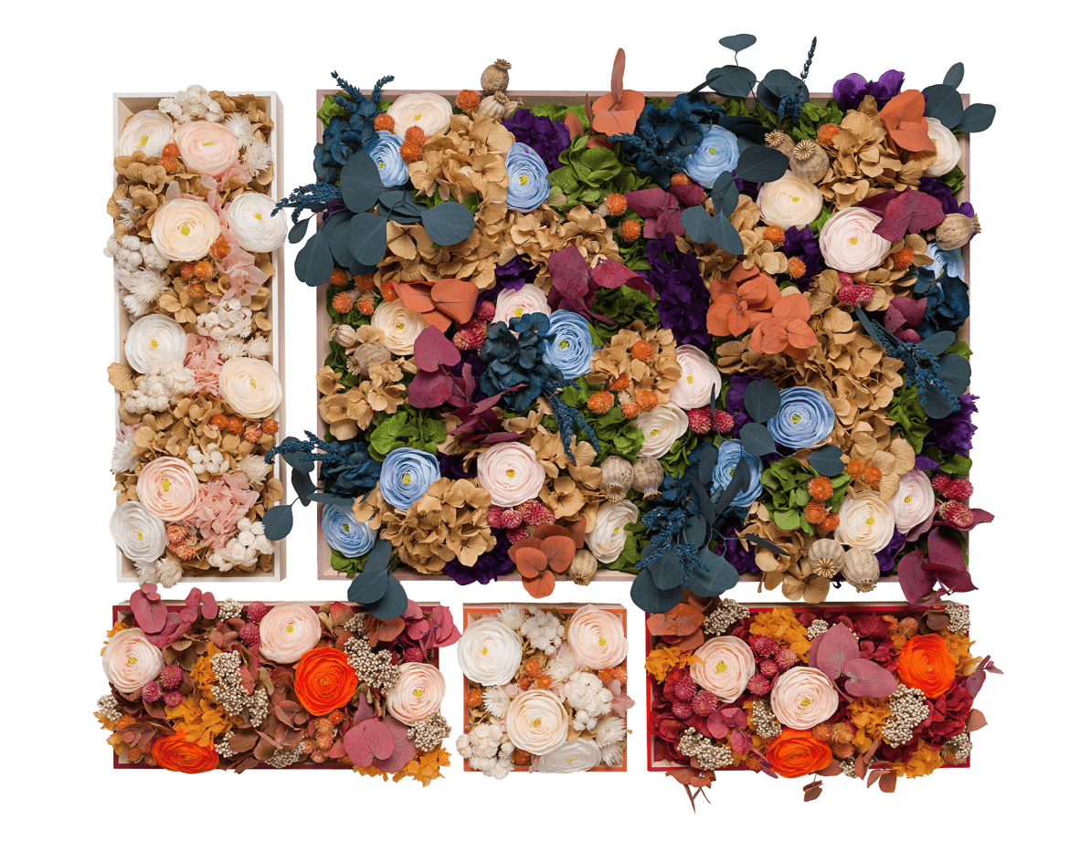 Antique Bloom - set di quadri con composizioni di fiori stabilizzati